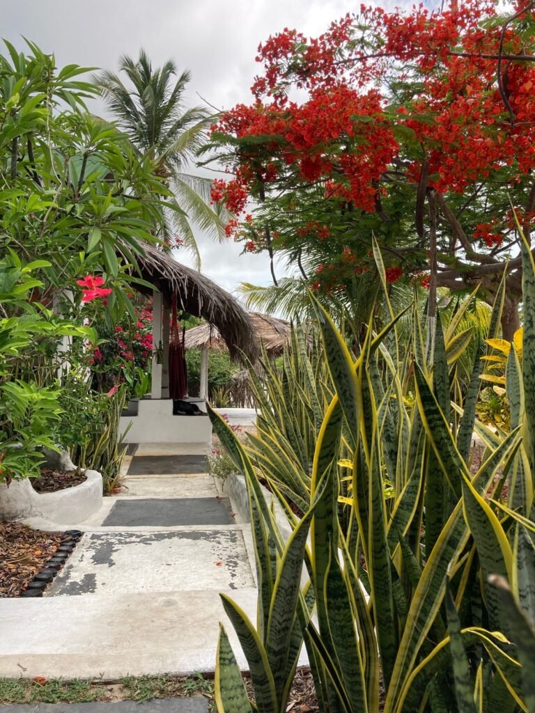 bungalow acquamarina